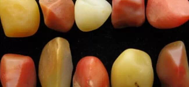 泄露天机 <wbr> <wbr>去新疆挖玉石？