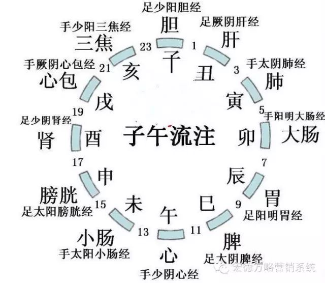 寅时(3点至5点)肺经旺,将干储藏的新鲜血液输送百脉,迎接新的一天的到