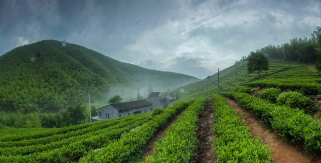 愛(ài)峰木地板|國(guó)慶想住江浙滬的民宿？那只能看“人品”嘍