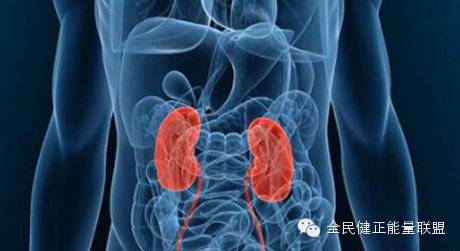 安惠生活：慢性肾病的征兆有哪些，如何去预防！