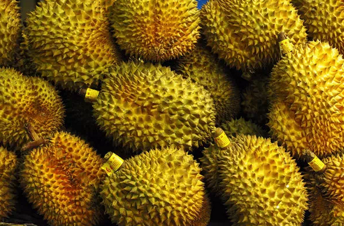 火龙果 山竹 腰果等名贵果子是怎么长出来的？有图有真相737 / 作者:火星娃崽 / 帖子ID:113288