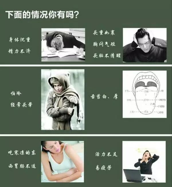 海参五大因子帮你远离亚健康！！！