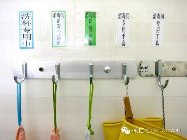 在幼儿园│孩子一天在园用几条小毛巾，你知道吗