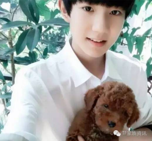 TFBOYS王源 愿护你一世