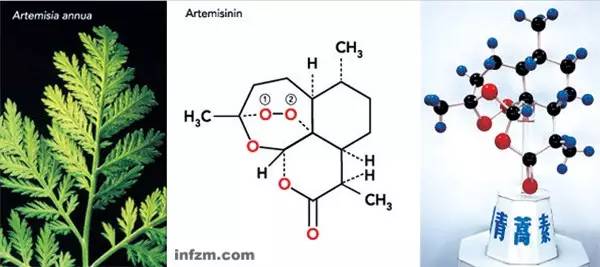 青蒿素及其化学分子结构模型.(资料图)