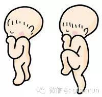 【超全胎位示意图】孕妇最担心胎儿姿势