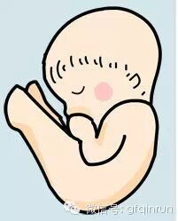 【超全胎位示意图】孕妇最担心胎儿姿势