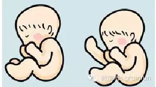 【超全胎位示意图】孕妇最担心胎儿姿势