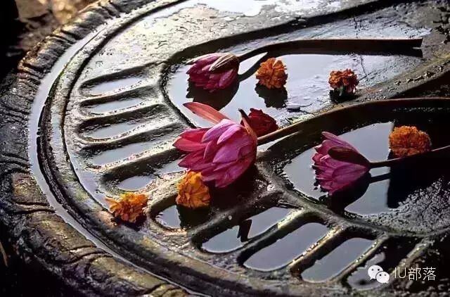 再次爱上谢霆锋以前,王菲去了这5个地方