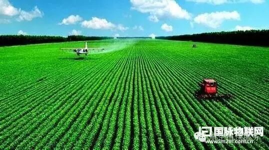 大氣候農(nóng)業(yè)：大氣候君