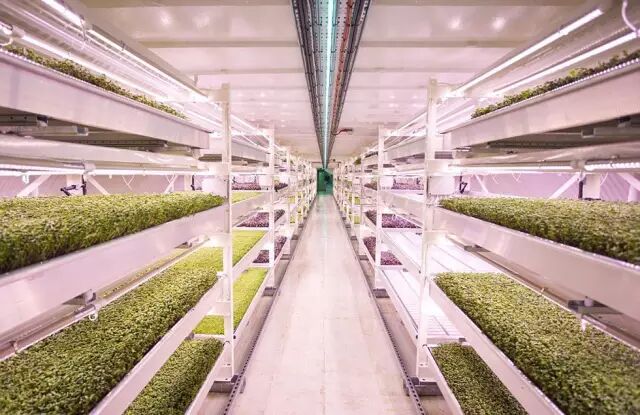 观察 | 英国脱欧跟照明设计师有啥关系？