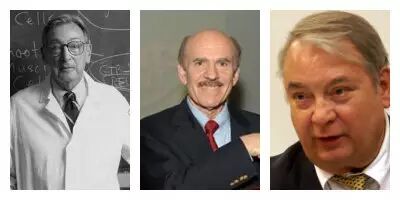 伟哥的小历史你知道吗世界观