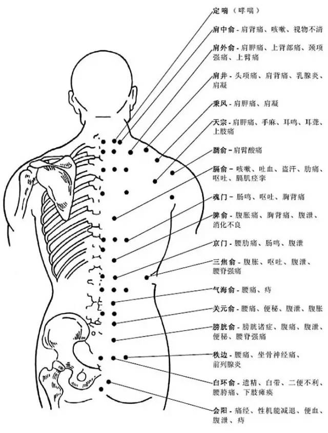 人体背部穴位图及作用功效