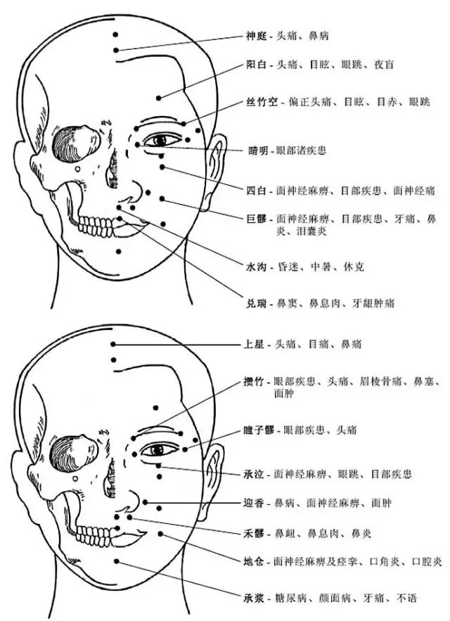 人体头部正面穴位图及作用功效