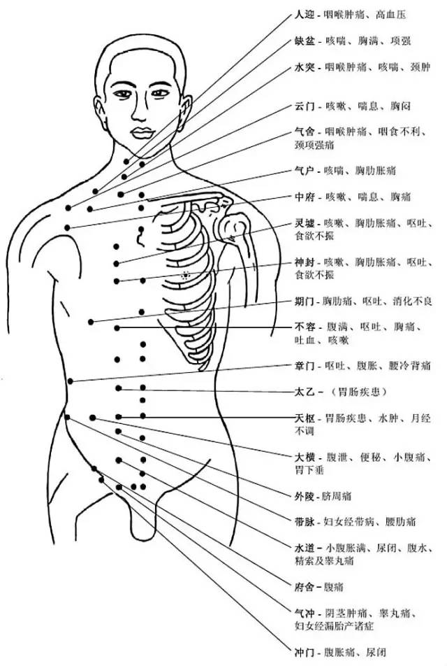 人体穴位养生大全配图