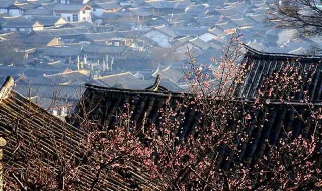 中国式瓦房,惊艳了谁的时光? - 夏季草原 - 夏季草原的博客 中国式瓦房,惊艳了谁的时光? - 夏季草原 - 夏季草原的博客