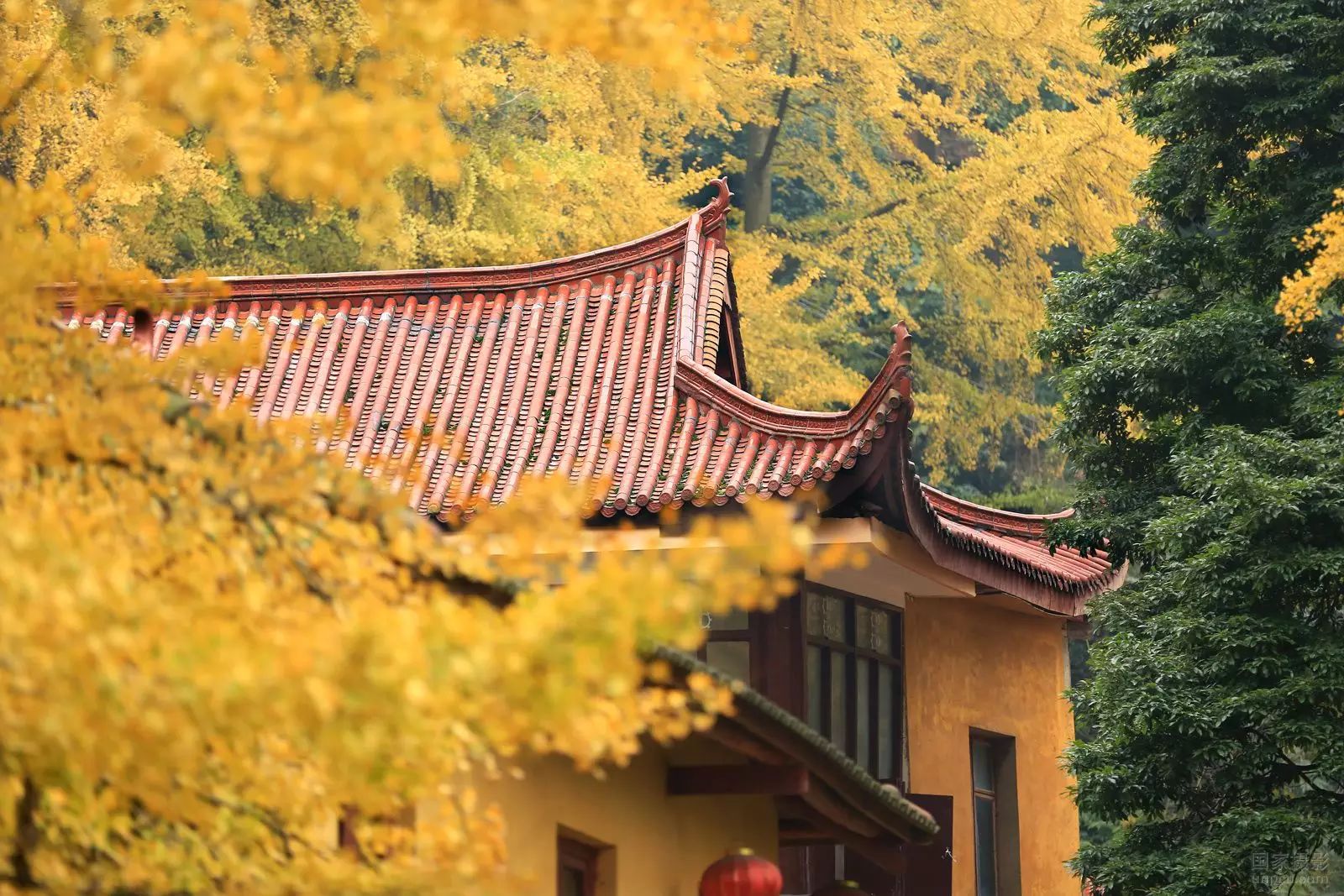 深山藏古寺 美景醉煞人