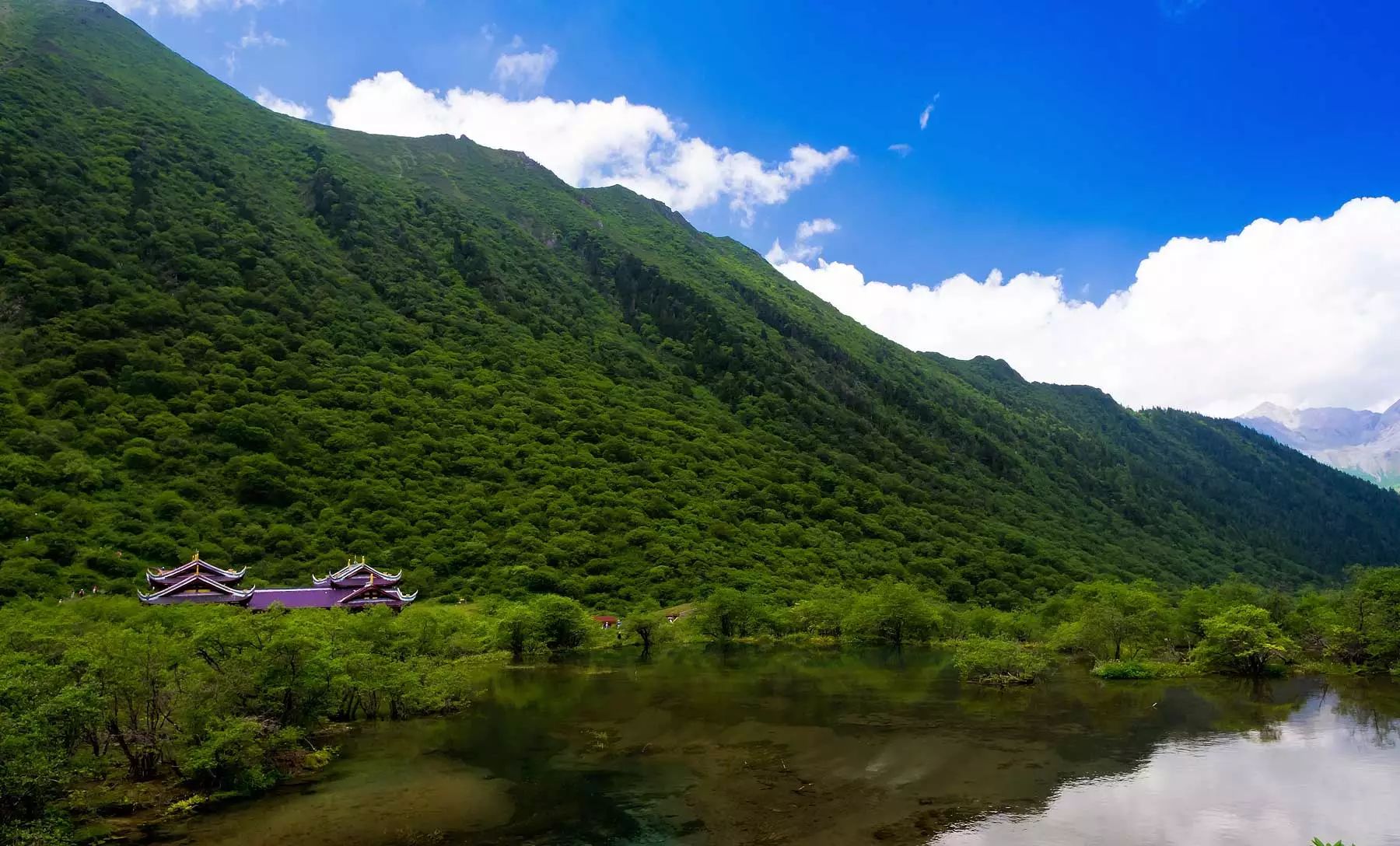 深山藏古寺美景醉煞人