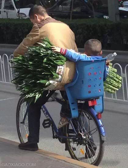 妹子们，放开他，有本事冲我来517 / 作者:奇葩处处有 / 帖子ID:107142