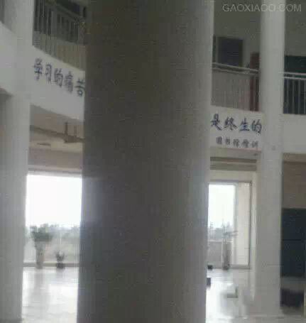 妹子们，放开他，有本事冲我来331 / 作者:奇葩处处有 / 帖子ID:107142