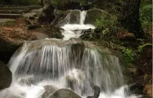 沈勇 | 花山随记