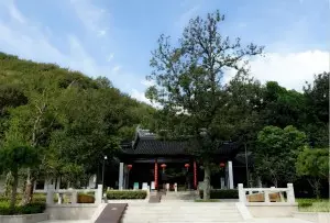 沈勇 | 花山随记