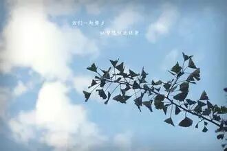 今日歌单寂寞攀附在等过的门