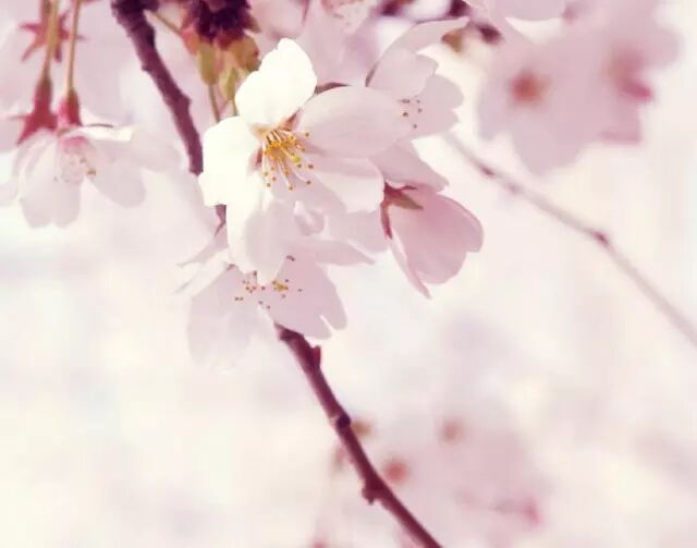 與春天有個約會 | 飛手訓(xùn)練營等你來玩~