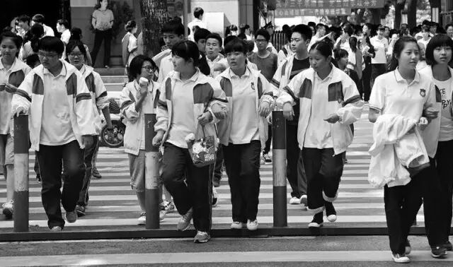 20170505172025_ot5y5iben5.png?v=1762064226373