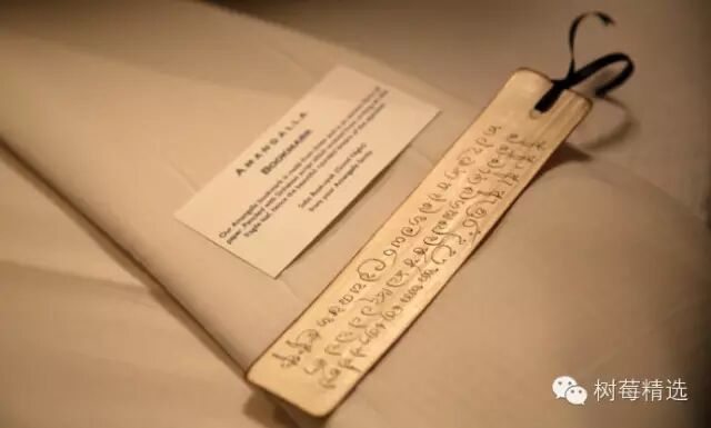 【斯里兰卡】Amangalla,晚风何故吹得树叶动