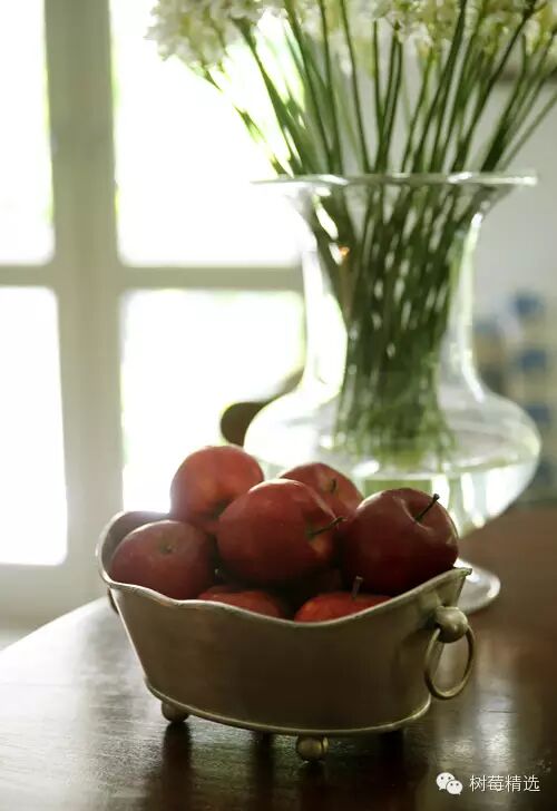 【斯里兰卡】Amangalla,晚风何故吹得树叶动