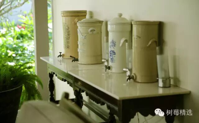 【斯里兰卡】Amangalla,晚风何故吹得树叶动