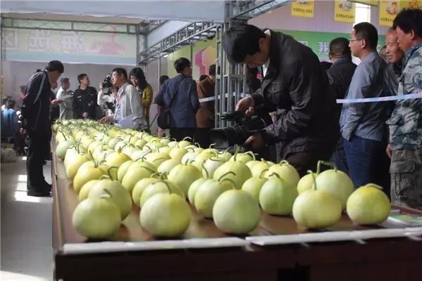 精彩莱西：建设大青岛北部绿色崛起的典范之城