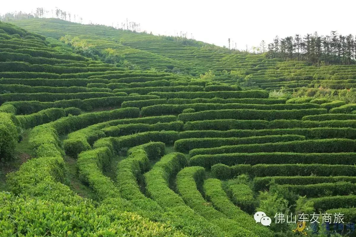 信阳灵龙湖生态文化旅游区