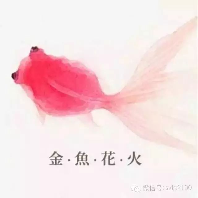 大冢爱·金鱼花火