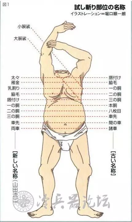 精品分析 古代日本刀试斩 武士刀鉴赏 微信公众号文章阅读 Wemp