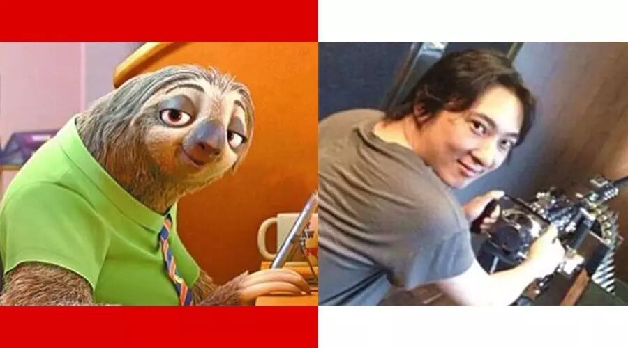 疯狂动物城树懒撞脸王思聪 人脸识别表示这不科学