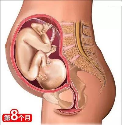 备孕垫枕头的方法图_备孕枕头垫在腰下有什么作用_备孕枕头垫在哪个位置图片