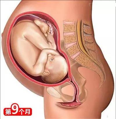 备孕枕头垫在哪个位置图片_备孕枕头垫在腰下有什么作用_备孕垫枕头的方法图