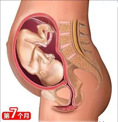 备孕垫枕头的方法图_备孕枕头垫在腰下有什么作用_备孕枕头垫在哪个位置图片