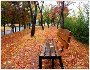 有你的秋天多美好!