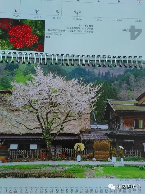 2015 <wbr>花园台历 <wbr>正式出版 2015 <wbr>花园台历 <wbr>正式出版