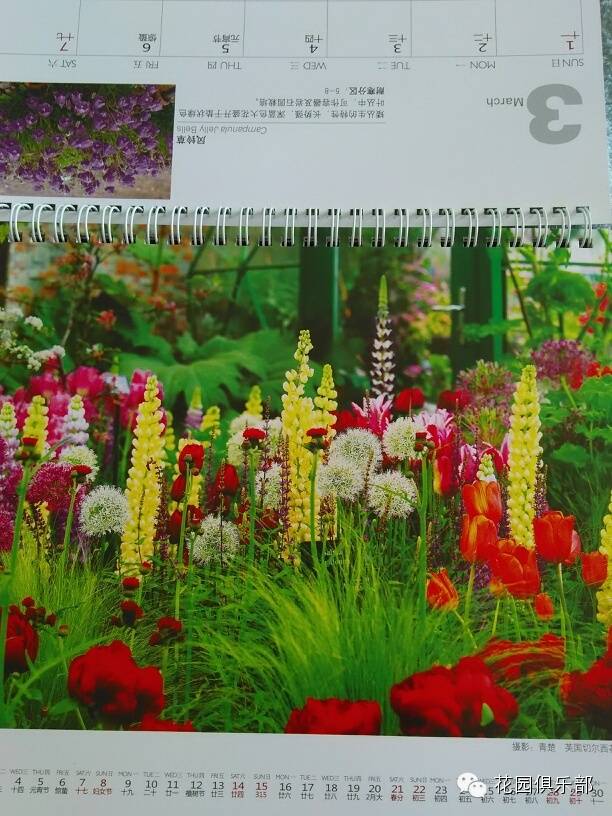 2015 <wbr>花园台历 <wbr>正式出版 2015 <wbr>花园台历 <wbr>正式出版