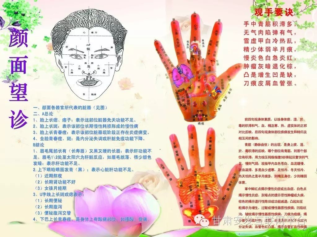 中医颜面望诊【口诀】----让您健康与美丽共存