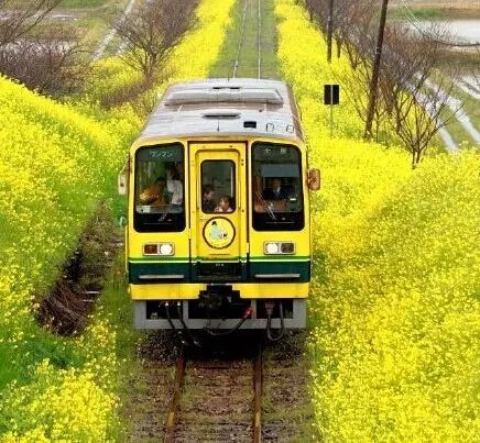 林俊杰《江南》背后的爱情故事:Wind Of Change