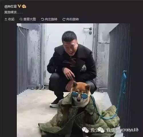 孙红雷和黄渤这两只汪,承包了我一天的笑点~!