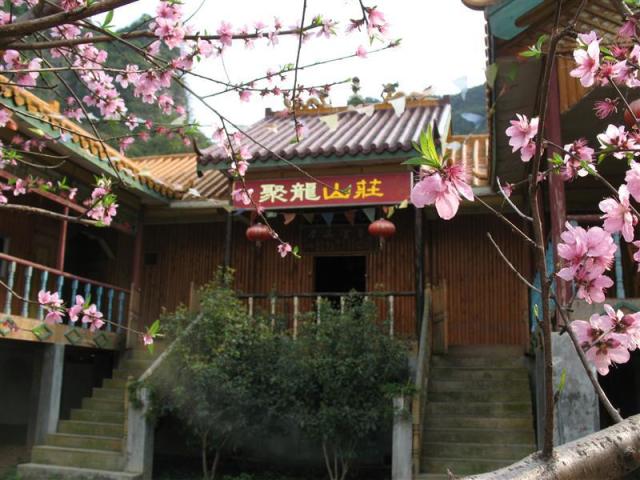 登录查看大图