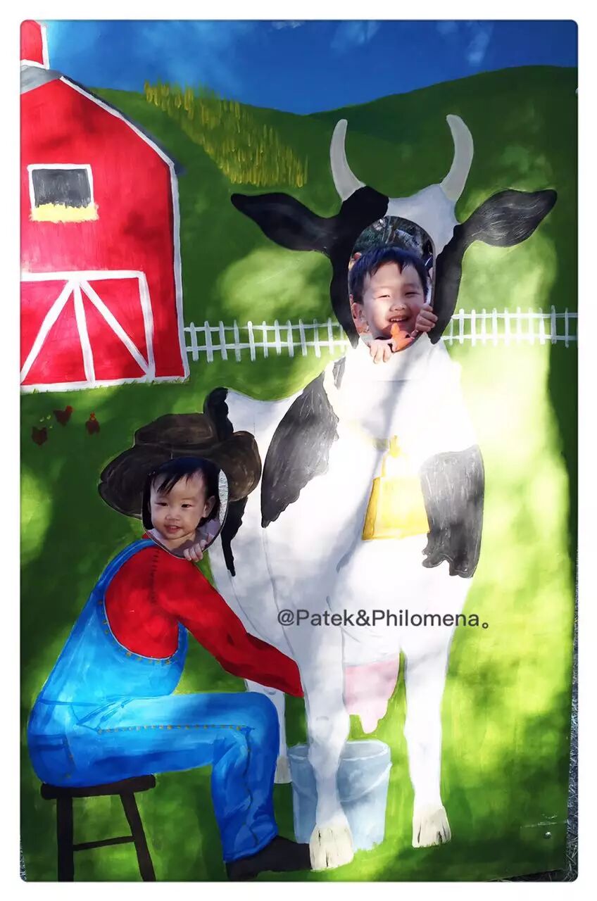 二胎教养,为什么说孔融让梨的教育理念是错的-怀孕期