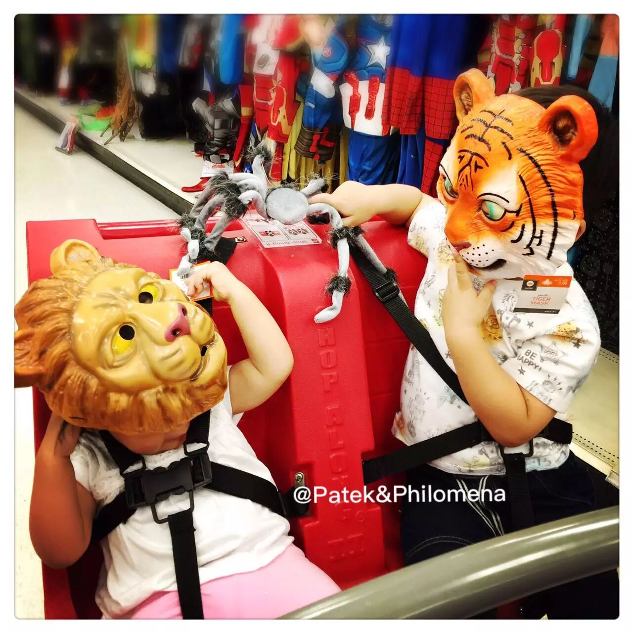 二胎教养,为什么说孔融让梨的教育理念是错的-怀孕期