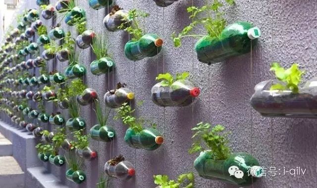 תءңƿҲöˣ - ѾѾ - 